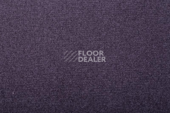 Ковролин Condor  Magic 15 фото 1 | FLOORDEALER